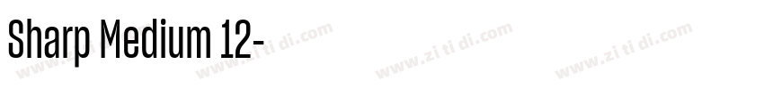 Sharp Medium 12字体转换 Sharp Medium 12字体转换